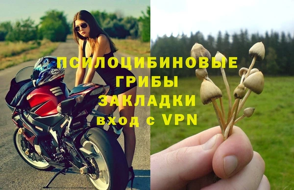 бутират Богородицк