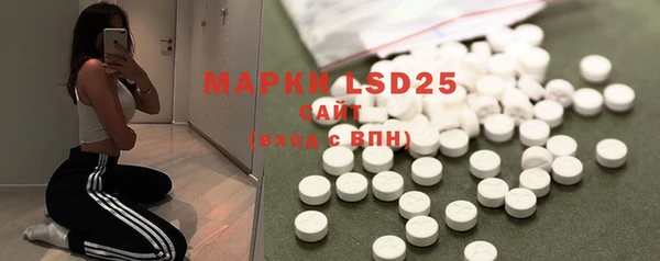 mdpv Бородино