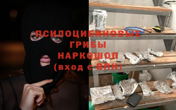 2c-b Бикин