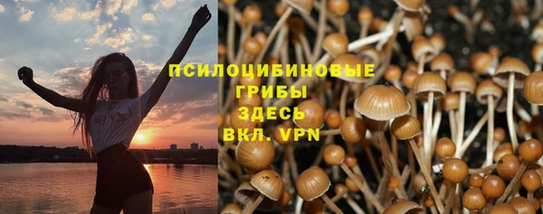спиды Богородск