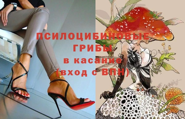 хмурый Бронницы